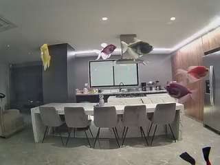 voyeurcam-casa-salsa-fishtank