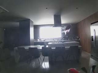 voyeurcam-casa-salsa-fishtank