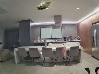 voyeurcam-casa-salsa-fishtank