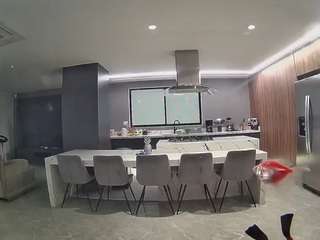 voyeurcam-casa-salsa-fishtank