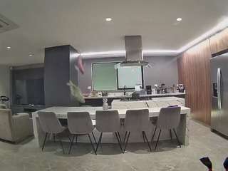 voyeurcam-casa-salsa-fishtank