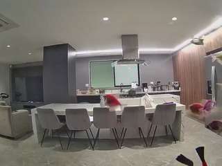 voyeurcam-casa-salsa-fishtank