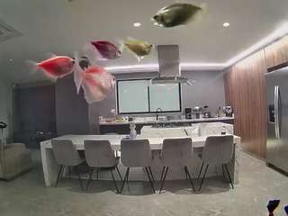 voyeurcam-casa-salsa-fishtank