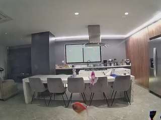 voyeurcam-casa-salsa-fishtank