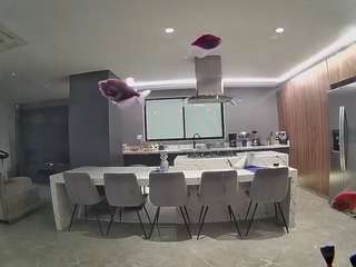 voyeurcam-casa-salsa-fishtank