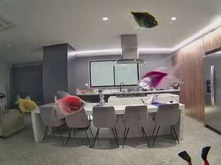 voyeurcam-casa-salsa-fishtank