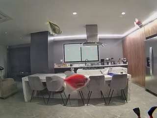 voyeurcam-casa-salsa-fishtank