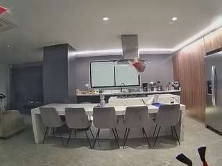 voyeurcam-casa-salsa-fishtank