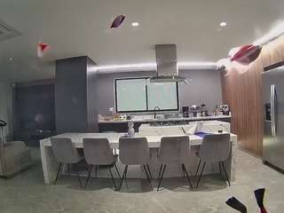 voyeurcam-casa-salsa-fishtank