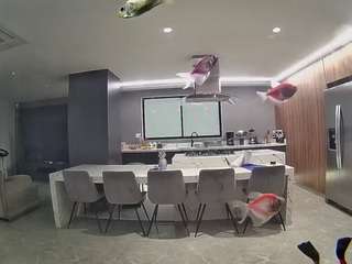 voyeurcam-casa-salsa-fishtank