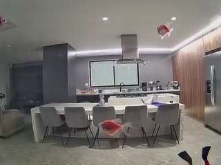 voyeurcam-casa-salsa-fishtank
