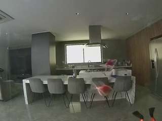 voyeurcam-casa-salsa-fishtank
