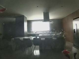 voyeurcam-casa-salsa-fishtank