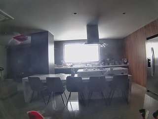 voyeurcam-casa-salsa-fishtank
