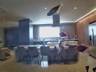 voyeurcam-casa-salsa-fishtank