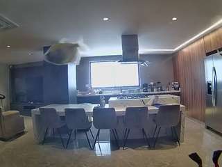 voyeurcam-casa-salsa-fishtank
