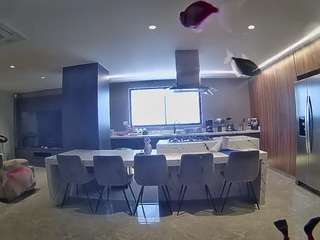 voyeurcam-casa-salsa-fishtank