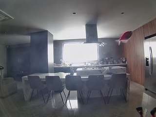 voyeurcam-casa-salsa-fishtank