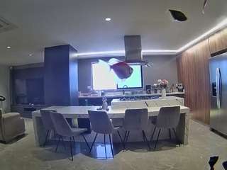 voyeurcam-casa-salsa-fishtank