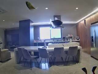 voyeurcam-casa-salsa-fishtank