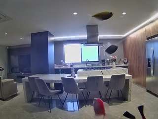 voyeurcam-casa-salsa-fishtank