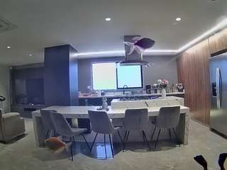 voyeurcam-casa-salsa-fishtank