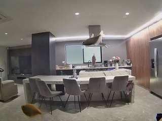 voyeurcam-casa-salsa-fishtank