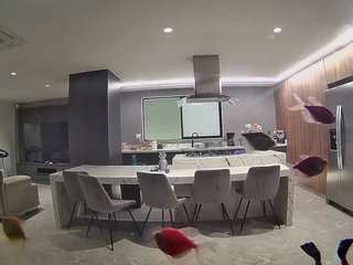 voyeurcam-casa-salsa-fishtank