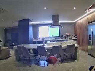voyeurcam-casa-salsa-fishtank