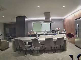 voyeurcam-casa-salsa-fishtank