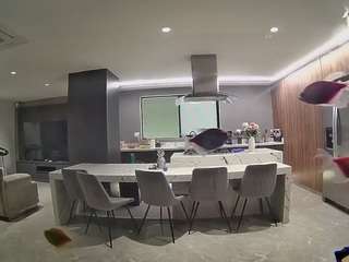 voyeurcam-casa-salsa-fishtank