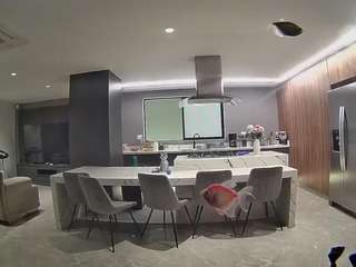 voyeurcam-casa-salsa-fishtank