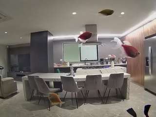 voyeurcam-casa-salsa-fishtank