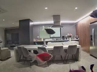 voyeurcam-casa-salsa-fishtank
