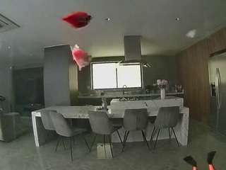 voyeurcam-casa-salsa-fishtank