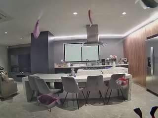 voyeurcam-casa-salsa-fishtank