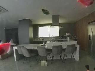 voyeurcam-casa-salsa-fishtank