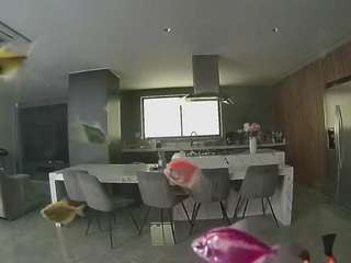 voyeurcam-casa-salsa-fishtank