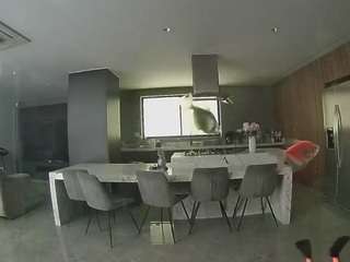 voyeurcam-casa-salsa-fishtank
