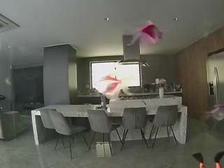 voyeurcam-casa-salsa-fishtank