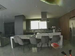 voyeurcam-casa-salsa-fishtank