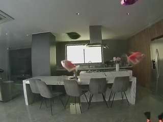 voyeurcam-casa-salsa-fishtank