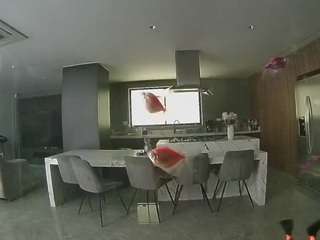 voyeurcam-casa-salsa-fishtank