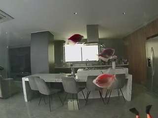 voyeurcam-casa-salsa-fishtank