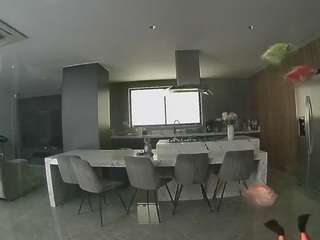 voyeurcam-casa-salsa-fishtank