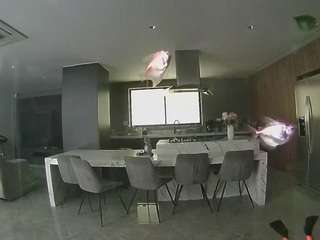 voyeurcam-casa-salsa-fishtank