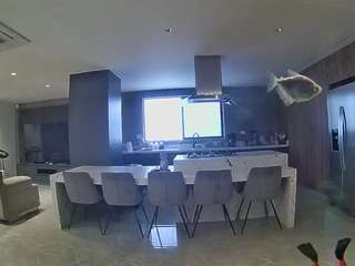 voyeurcam-casa-salsa-fishtank