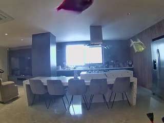 voyeurcam-casa-salsa-fishtank