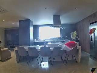 voyeurcam-casa-salsa-fishtank