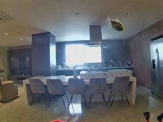 voyeurcam-casa-salsa-fishtank